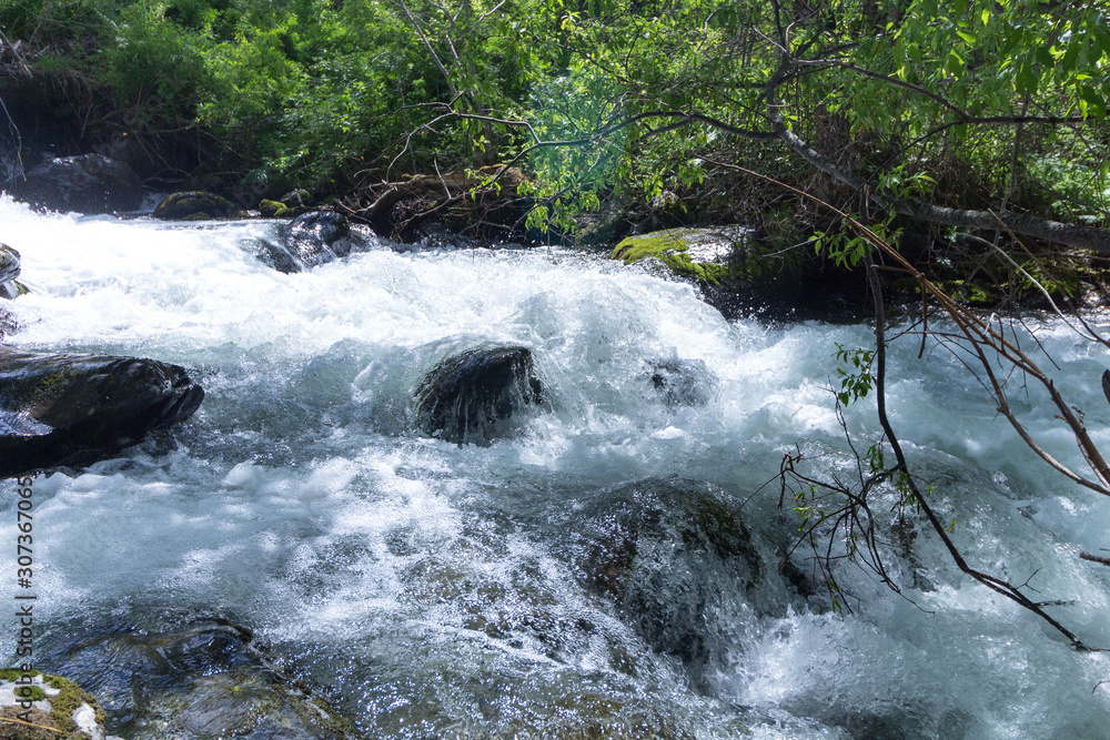 Fototapeta premium fast creek in the mountains