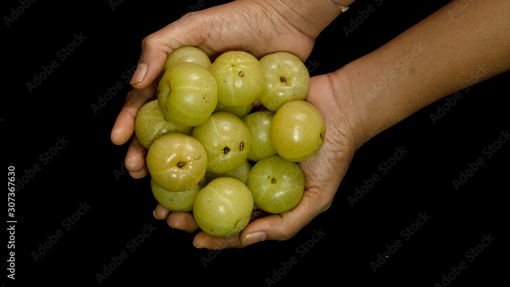 gooseberry fruit with isolated black background gooseberry fruit with isolated black background
