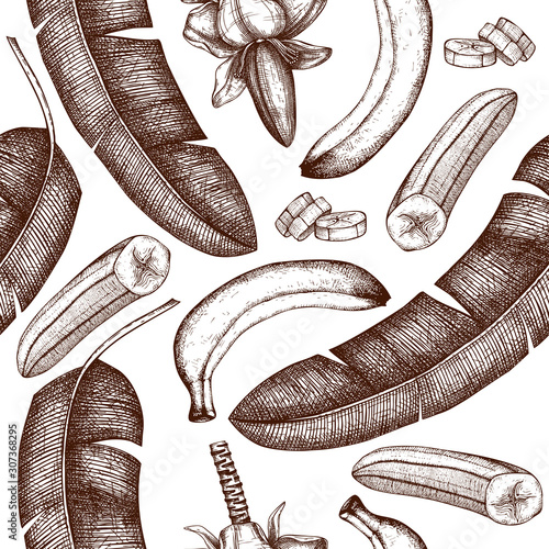 Banana hand drawn background. Banana flower, fruits, palm tree leaves seamless pattern. Tropical fruits vector drawings. Exotic plant vintage sketch. In engraved style. Healthy food backdrop. 