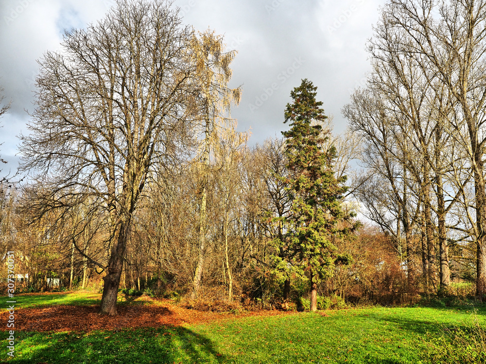 Obraz premium Wiebelskirchen – Stadtteil von Neunkirchen im Saarland