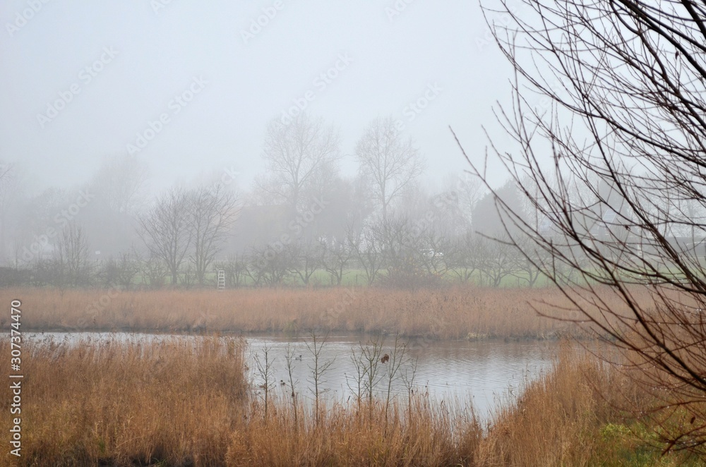 Polder, Spijkenisse Polder, Spijkenisse