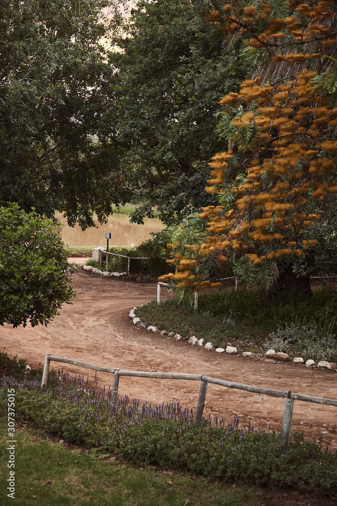 Obraz premium Beautiful road between atumn trees