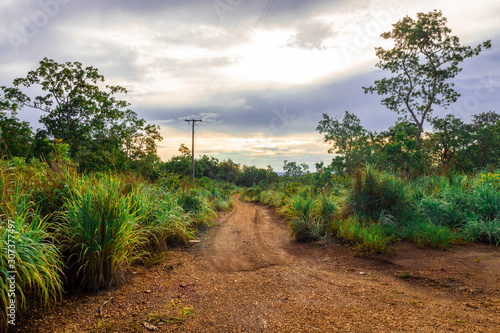 Fotografie dirt road in brazilian savanna