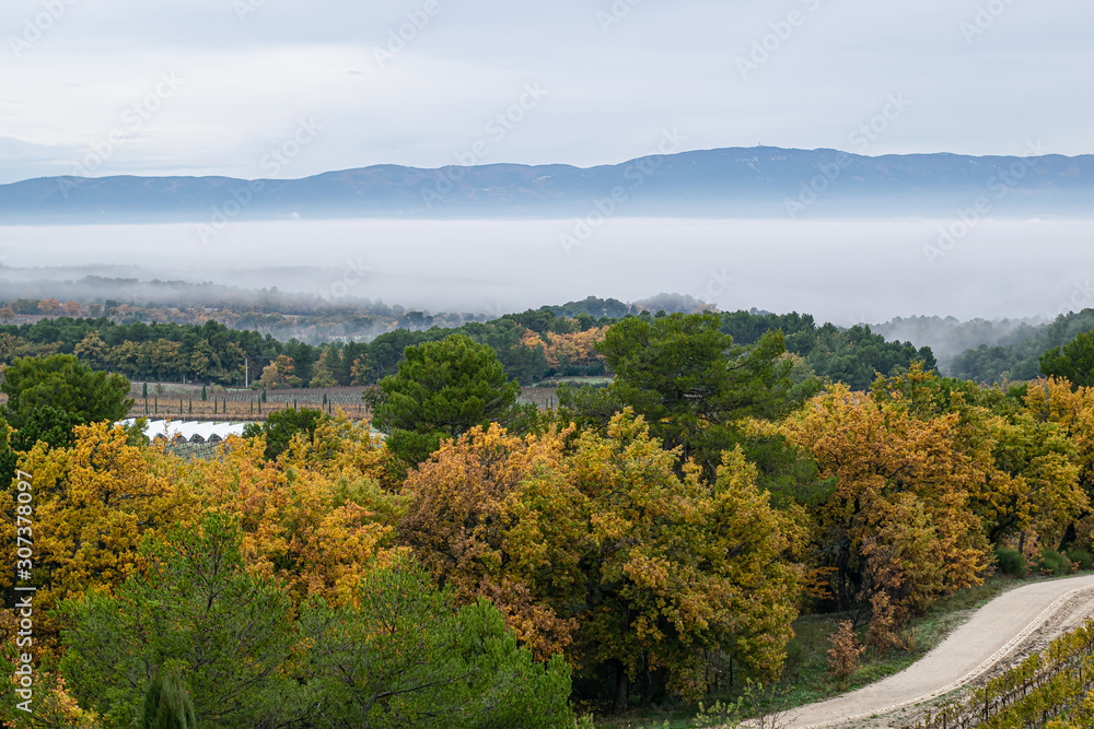 Panorámica de un bosque francés con una montaña de fondo con niebla Panorámica de un bosque francés con una montaña de fondo con niebla