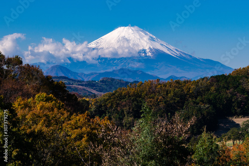 大磯町からの富士山と紅葉 © Oval Design