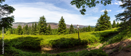 Panoramablick auf den Brocken vom Ulmer Weg am Wurmberg bei Braunlage im Nationalpark Harz photo