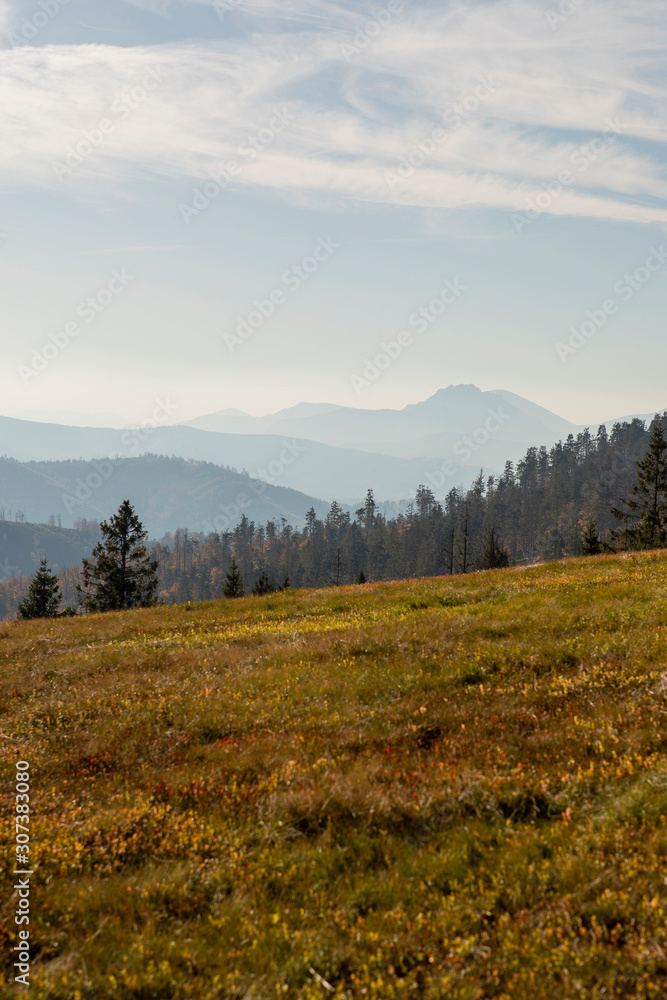 sunny day in the mountains landscape. Autumn scenery
