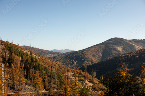 sunny day in the mountains landscape. Autumn scenery