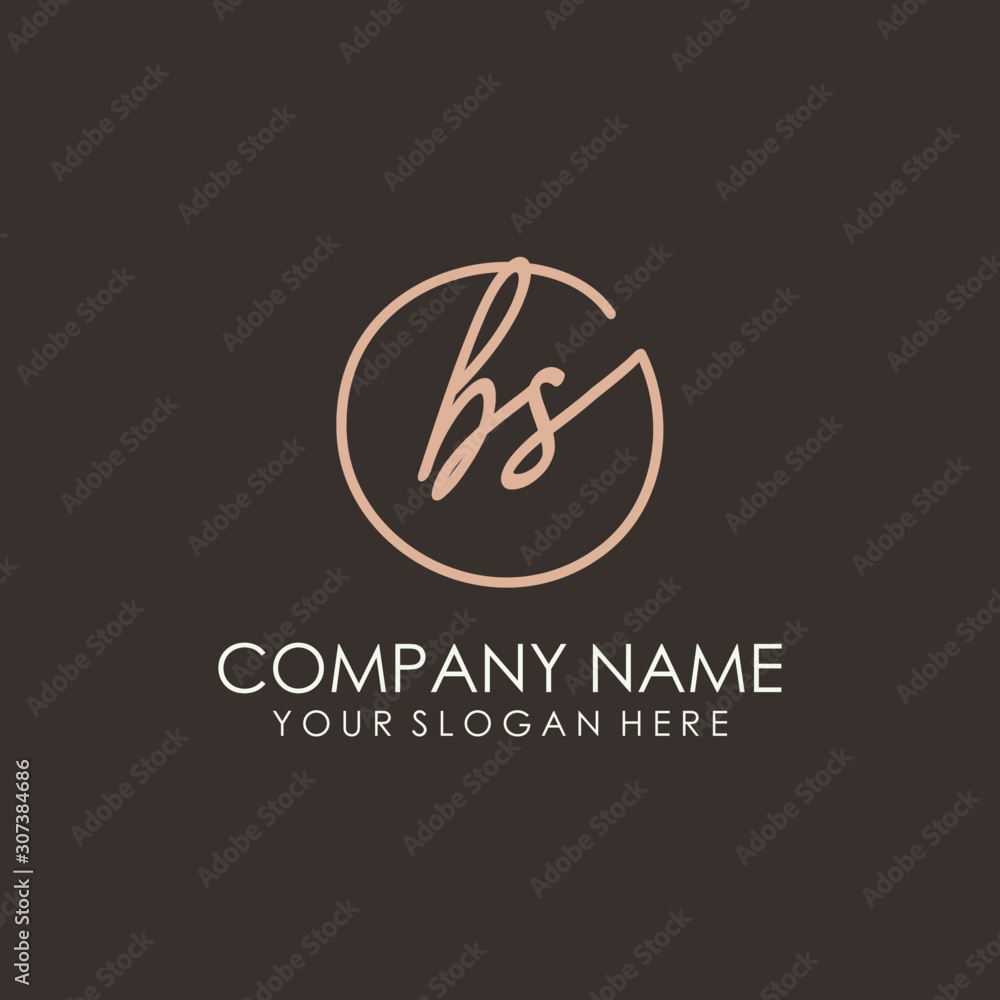 BS initials signature logo. Handwritten vector logo template connected to a circle. Hand drawn Calligraphy lettering Vector illustration. BS initials signature logo. Handwritten vector logo template connected to a circle. Hand drawn Calligraphy lettering Vector illustration.