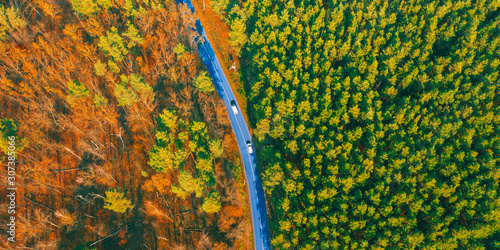 Obraz na plátně Banner aerial top view two forest halves are shared by the road