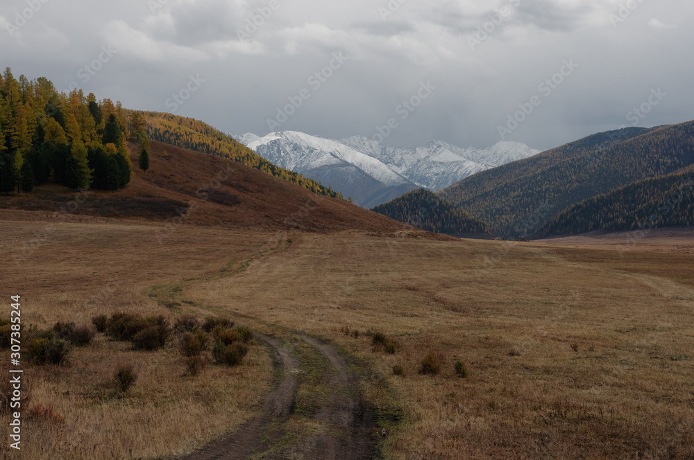 Autumn yellow wild mountains with larch trees and stone dirt road path on the background of high snow glacier ranges peaks