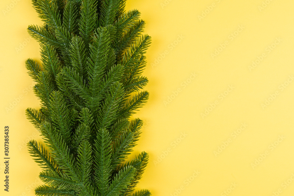Top view of green fir tree branches on colorful background. New year holiday concept with empty space for your design
