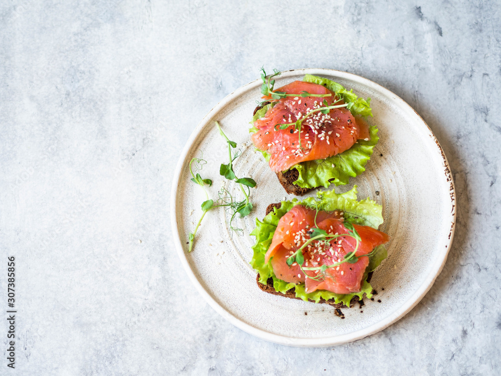 Two toasts with salmon slices, sesame, pea sprouts and lettuce on a white ceramic plate on grey background. Copy space. Top view. Two toasts with salmon slices, sesame, pea sprouts and lettuce on a white ceramic plate on grey background. Copy space. Top view.