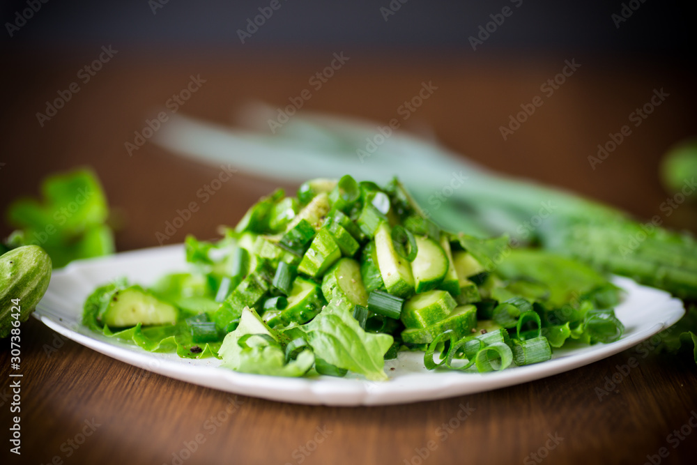 fresh salad of cucumbers and greens in a plate on a wooden fresh salad of cucumbers and greens in a plate on a wooden