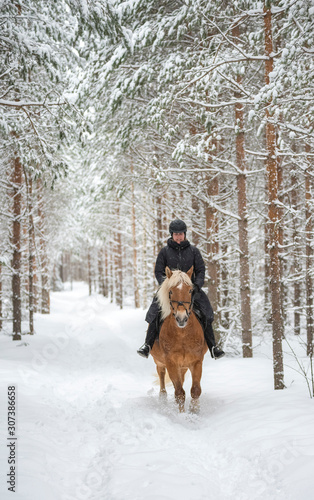 Fototapeta Naklejka Na Ścianę i Meble -  Woman horseback riding in winter