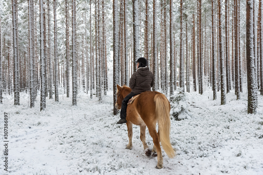 Woman horseback riding in winter Woman horseback riding in winter