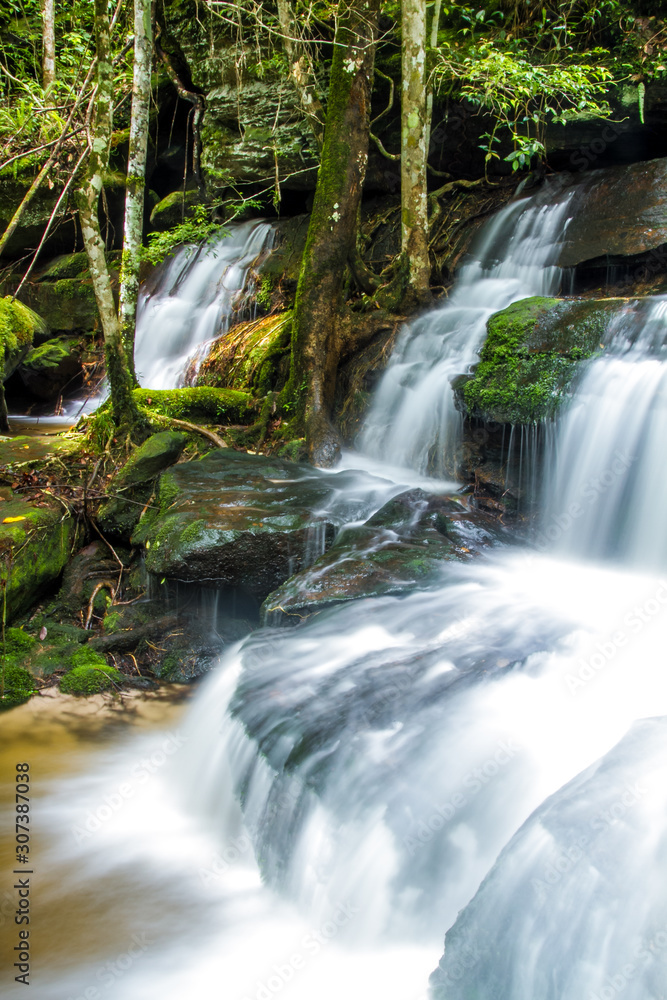 waterfall in forest