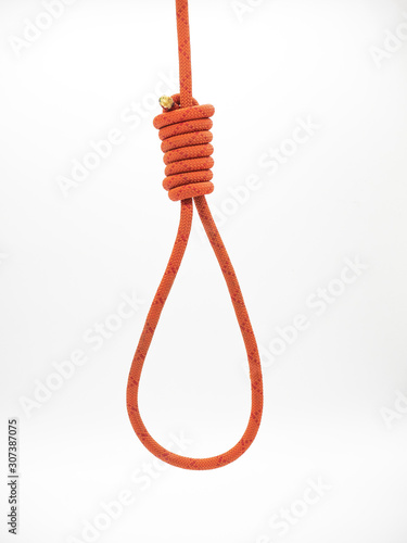 Red rope for gallows with hangman noose and hanging knot isolated on a white background photo