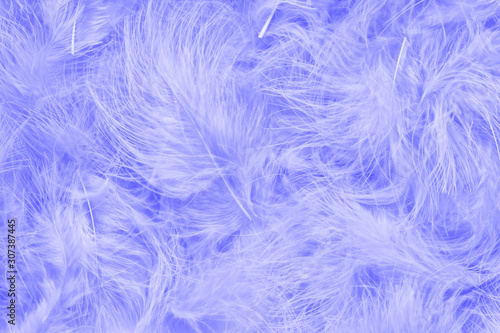 Medium slate blue feather feather texture background. Soft and gentle pattern. Bohemian boho style.