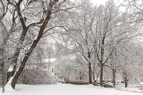 winter in the park