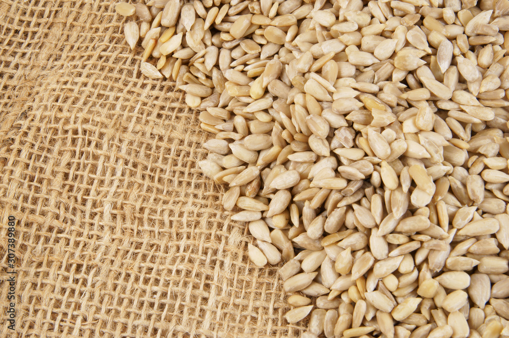Sunflower seeds on rustic burlap background Sunflower seeds on rustic burlap background