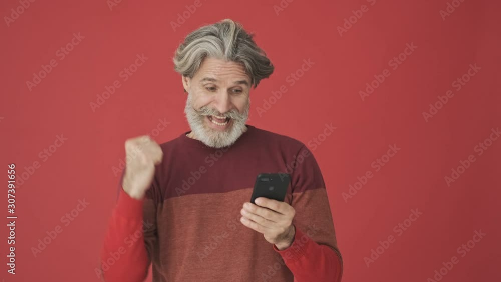 Attractive elder gray-haired bearded man in the red sweater doing a winner gesture while holding a smartphone isolated over red wall Attractive elder gray-haired bearded man in the red sweater doing a winner gesture while holding a smartphone isolated over red wall