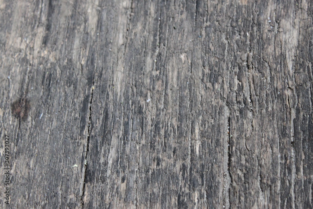 tree bark texture, wood pattern, cracked tree bar tree bark texture, wood pattern, cracked tree bar