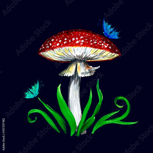 Acrylic illustration of fly agaric