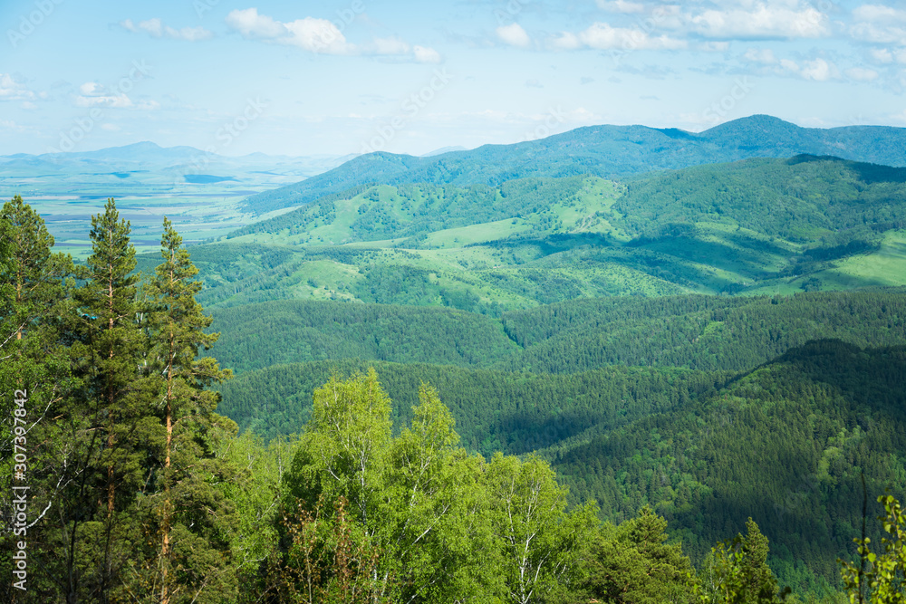 Wooded high mountains extend into the distance in taiga.