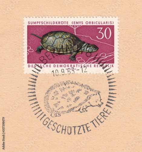 European Pond Turtle (Emys orbicularis).Special postmark Berlin Protected animals,stamp Germany circa 1963