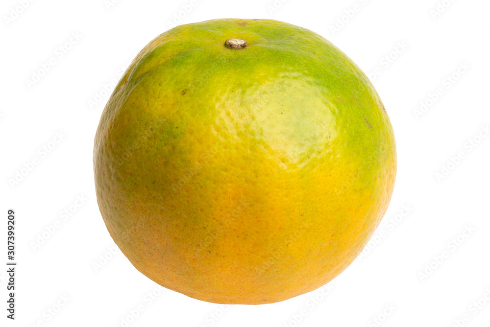 Orange is a fruit that is high in vitamins. And also an economic product Orange is a fruit that is high in vitamins. And also an economic product