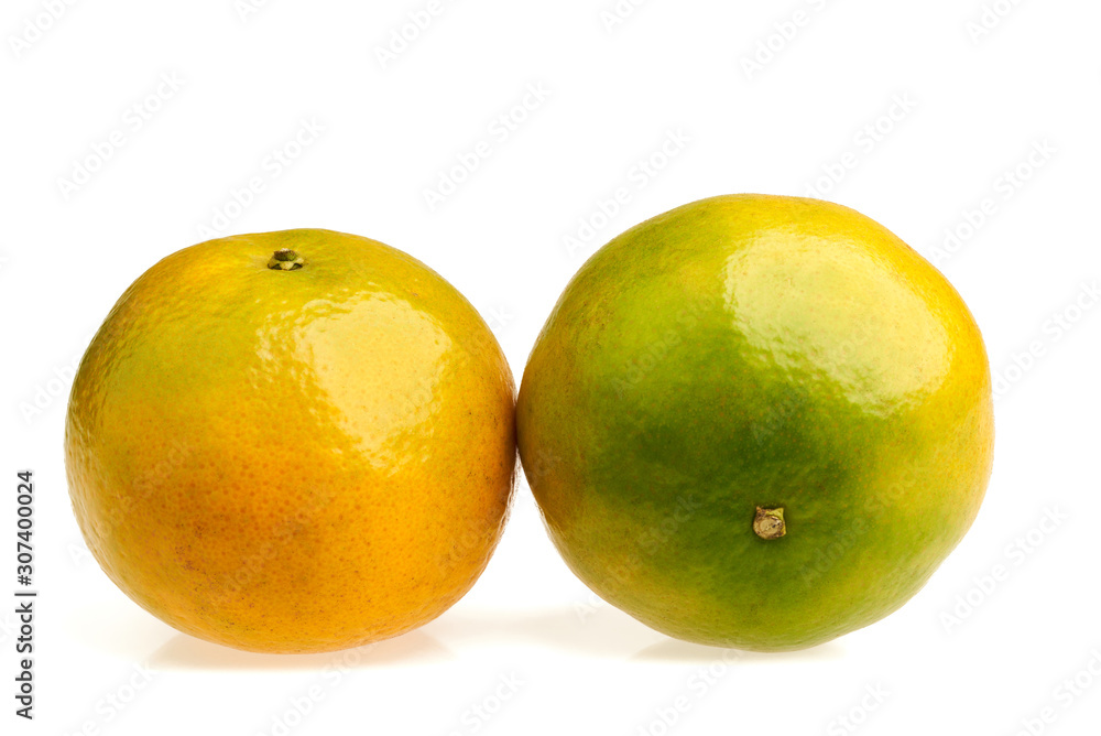 Orange is a fruit that is high in vitamins. And also an economic product Orange is a fruit that is high in vitamins. And also an economic product