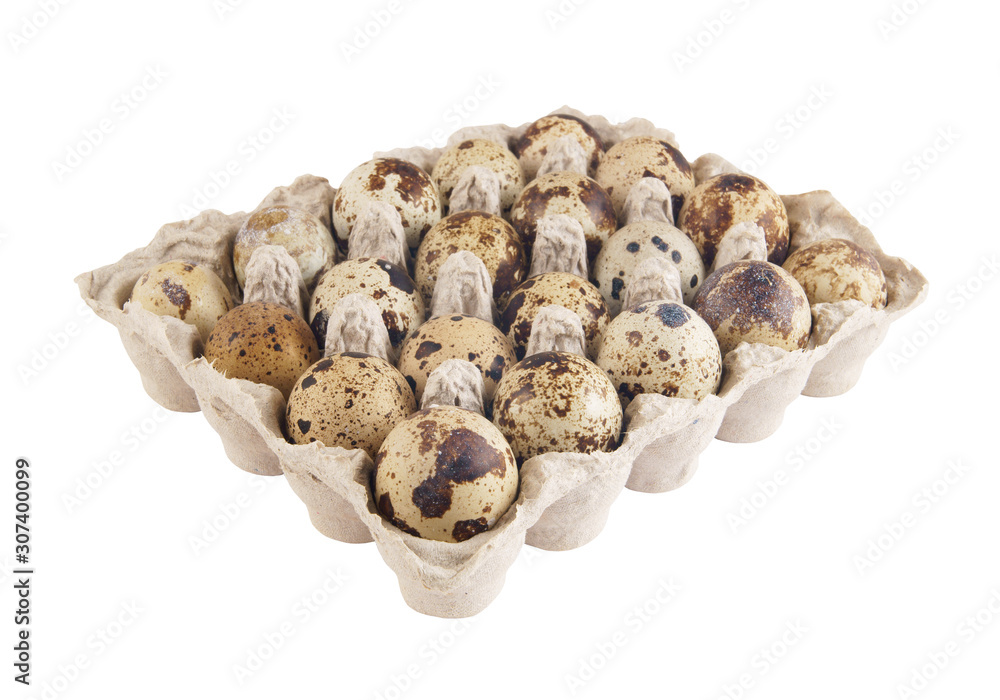 Many quail eggs in pack isolated on white