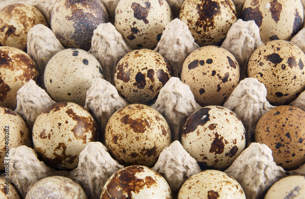Quail eggs background Quail eggs background