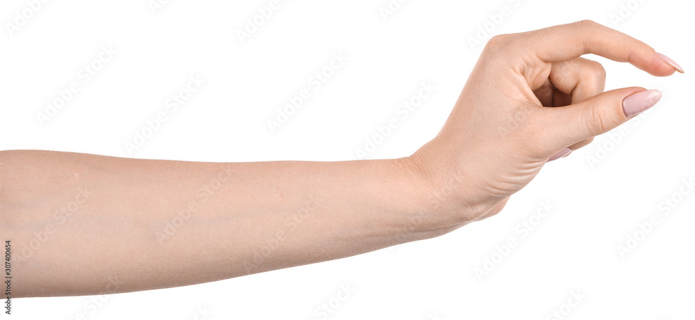 Female caucasian hands isolated white background showing gesture holds something or takes, gives. woman hands showing different gestures Female caucasian hands isolated white background showing gesture holds something or takes, gives. woman hands showing different gestures