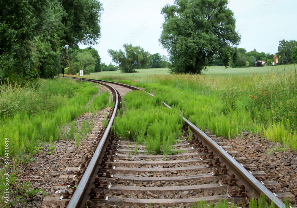 Fototapeta premium eine selten befahrene Bahnstrecke wuchert langsam zu