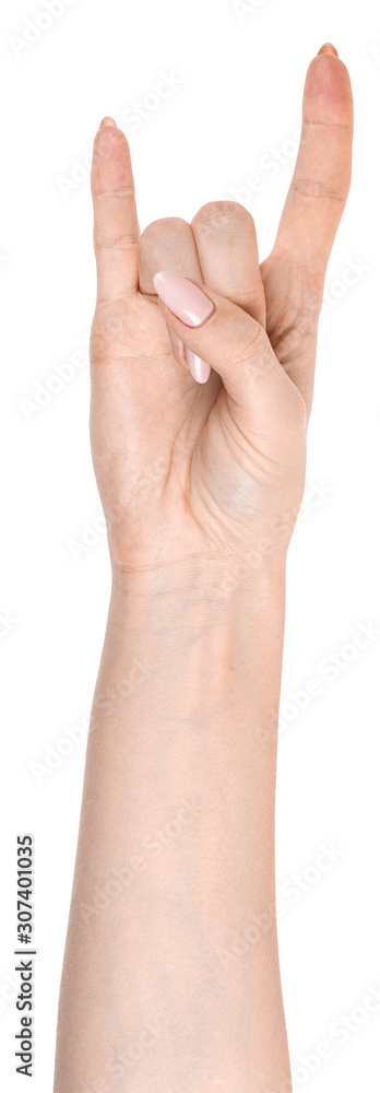 Female caucasian hands isolated white background showing goat gesture, rock. woman hands showing different gestures Female caucasian hands isolated white background showing goat gesture, rock. woman hands showing different gestures