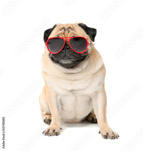 Cute pug dog with sunglasses on white background © Pixel-Shot