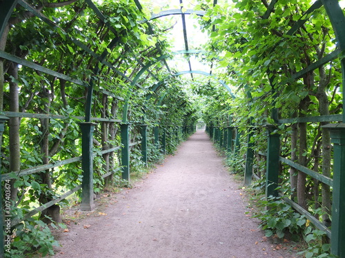 path in the park