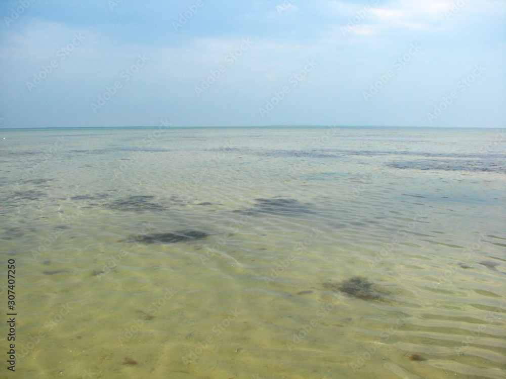 Unique natural picture of shallow lake Sivash on a background of blue sky barely covered with a cloud blanket.