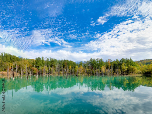 blue pond scenic at biei