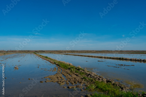  flooded fields near the lagoon in valencia