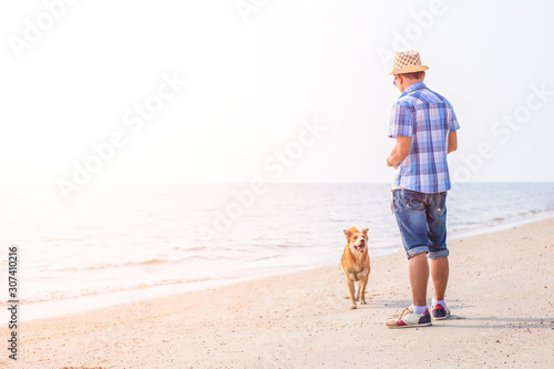 a man play with the dog on the beach.