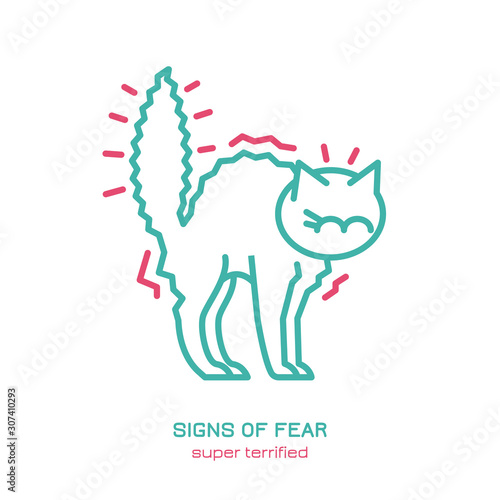 Cat fearful behavior icon