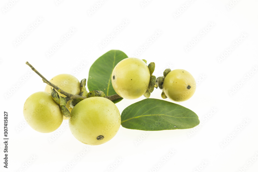 Obraz premium Ebony fruit