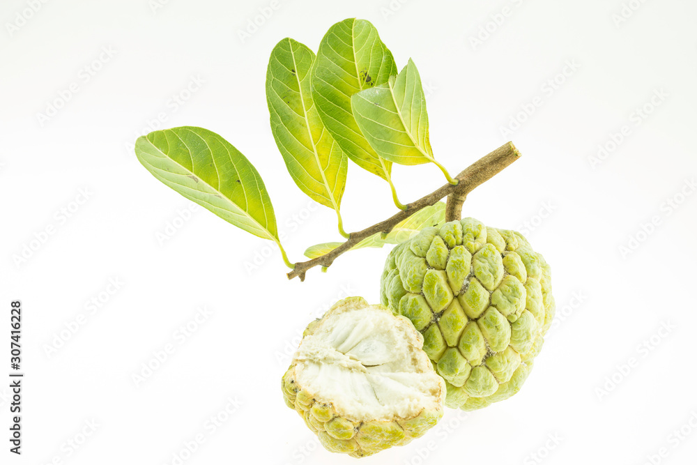 Fototapeta premium custard apple