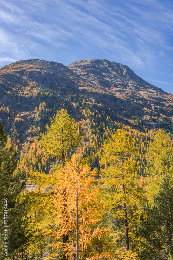 The Swiss mountains in the Engadine with woods, glaciers, near the village of Pontresina, Switzerland - October 2019.