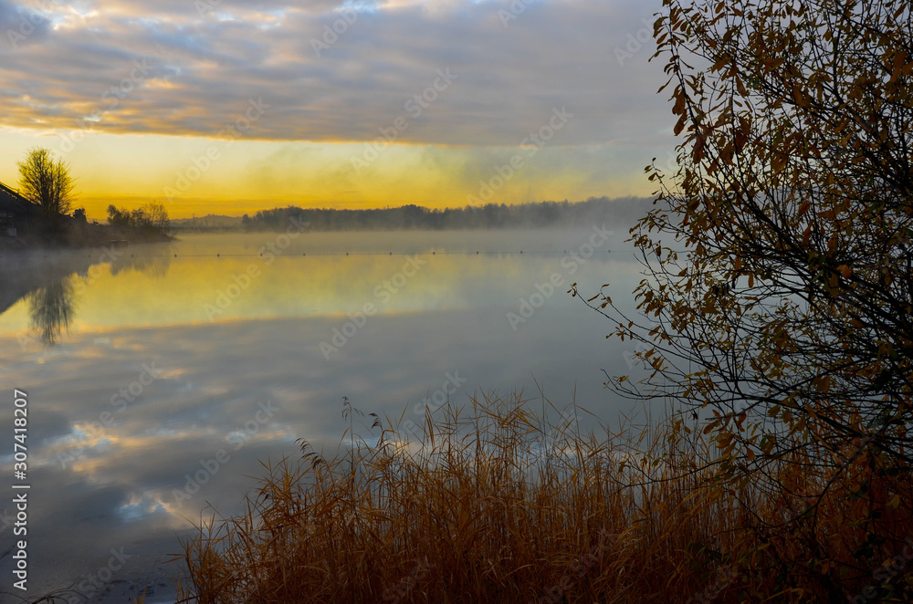 Nebelstimmung an einem Wintermorgen in den Rheinauen in der Ortenau