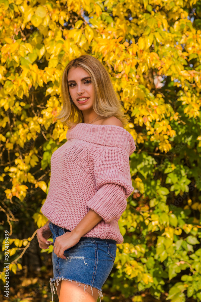 Beautiful young blonde woman in pink sweater posing in park with yellow leaves at background, autumn concept Beautiful young blonde woman in pink sweater posing in park with yellow leaves at background, autumn concept