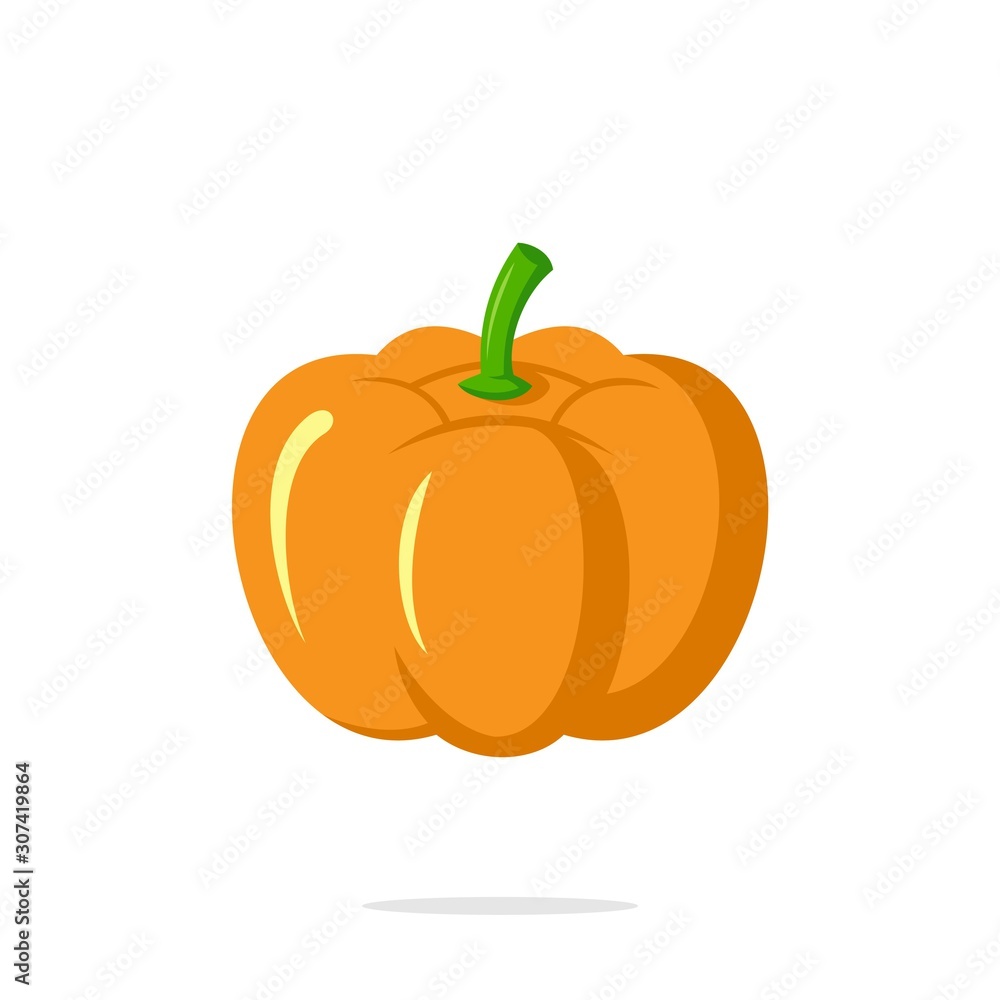 Obraz premium Vector illustration of pumpkin isolated on white background